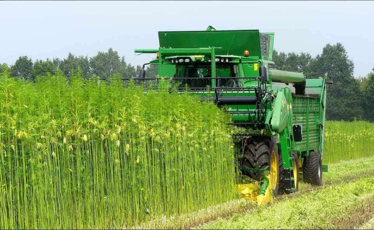 Продукция из технической конопли ООО „Хемп РТ“